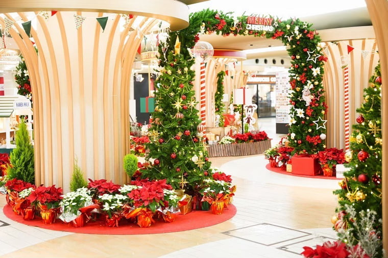 ポインセチアとツリーで彩った商業施設のクリスマスディスプレイの写真