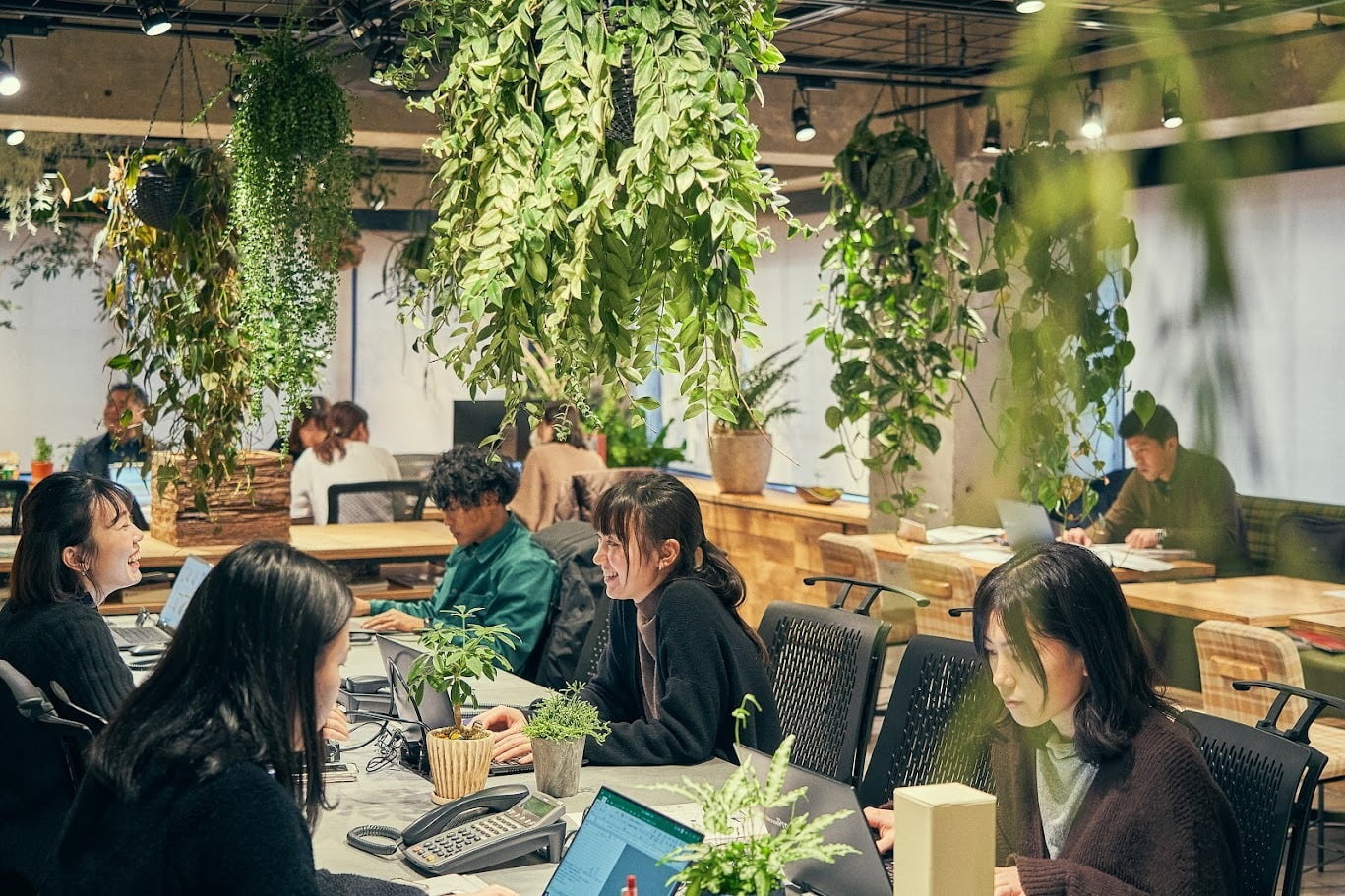 観葉植物に囲まれたオフィスで働く社員たちの写真
