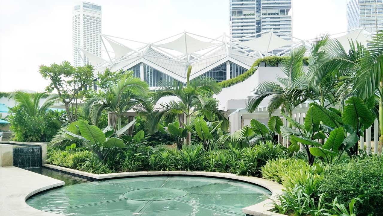 高層ビルを背景にヤシや熱帯植物が茂る屋上庭園の写真