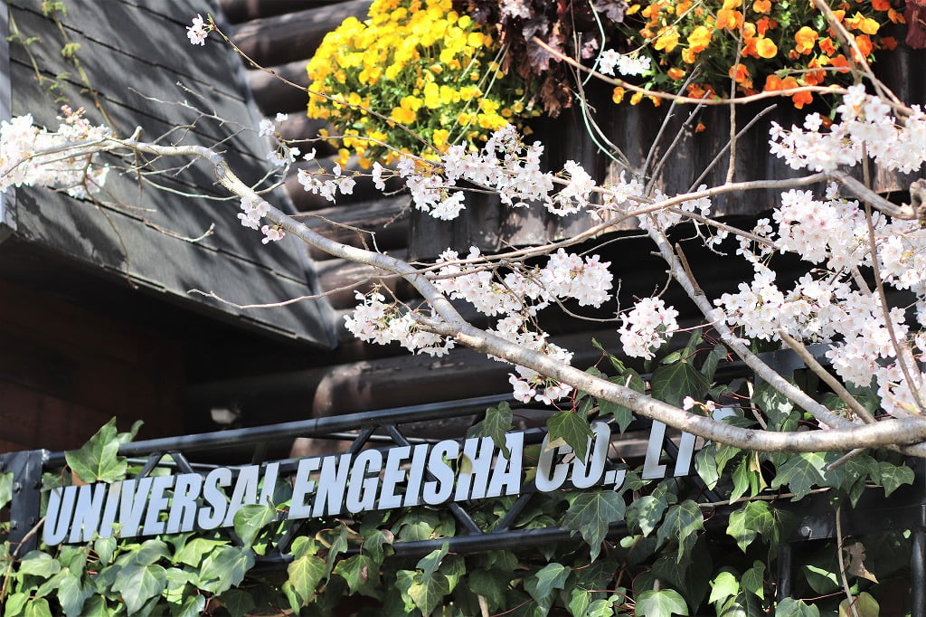 桜の咲く本社の社名サインの写真