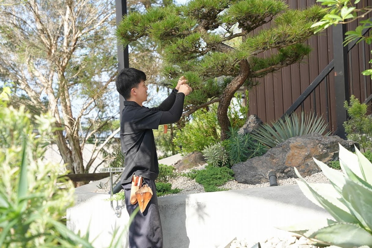 仕事風景の写真