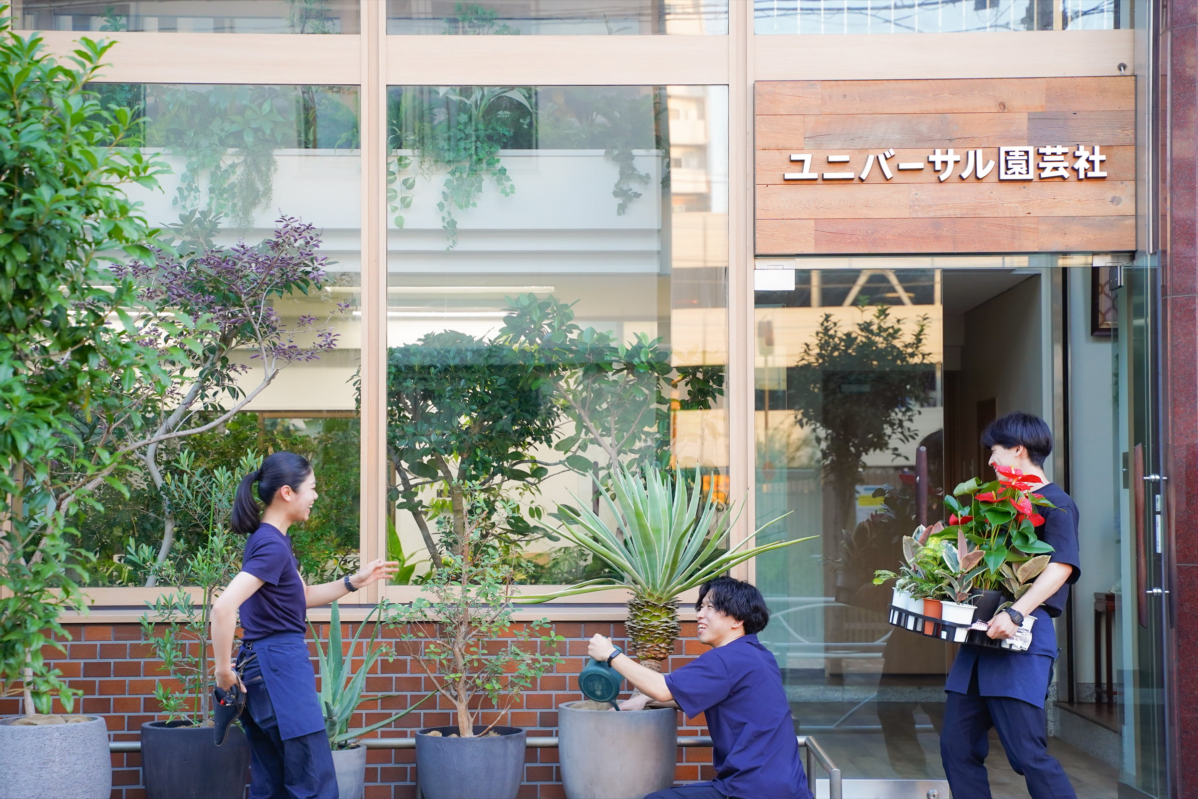 観葉植物を運ぶ社員の写真