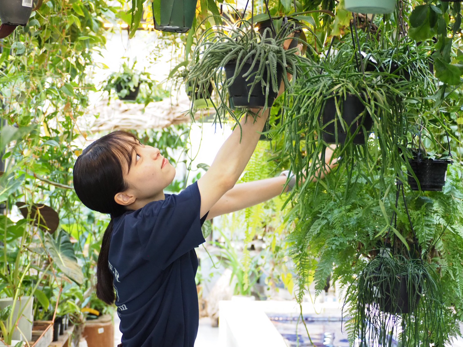 募集職種の職場の写真