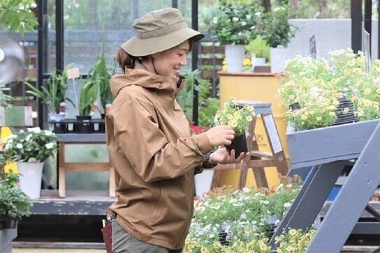 屋外の売り場で花苗を手入れする女性社員の写真