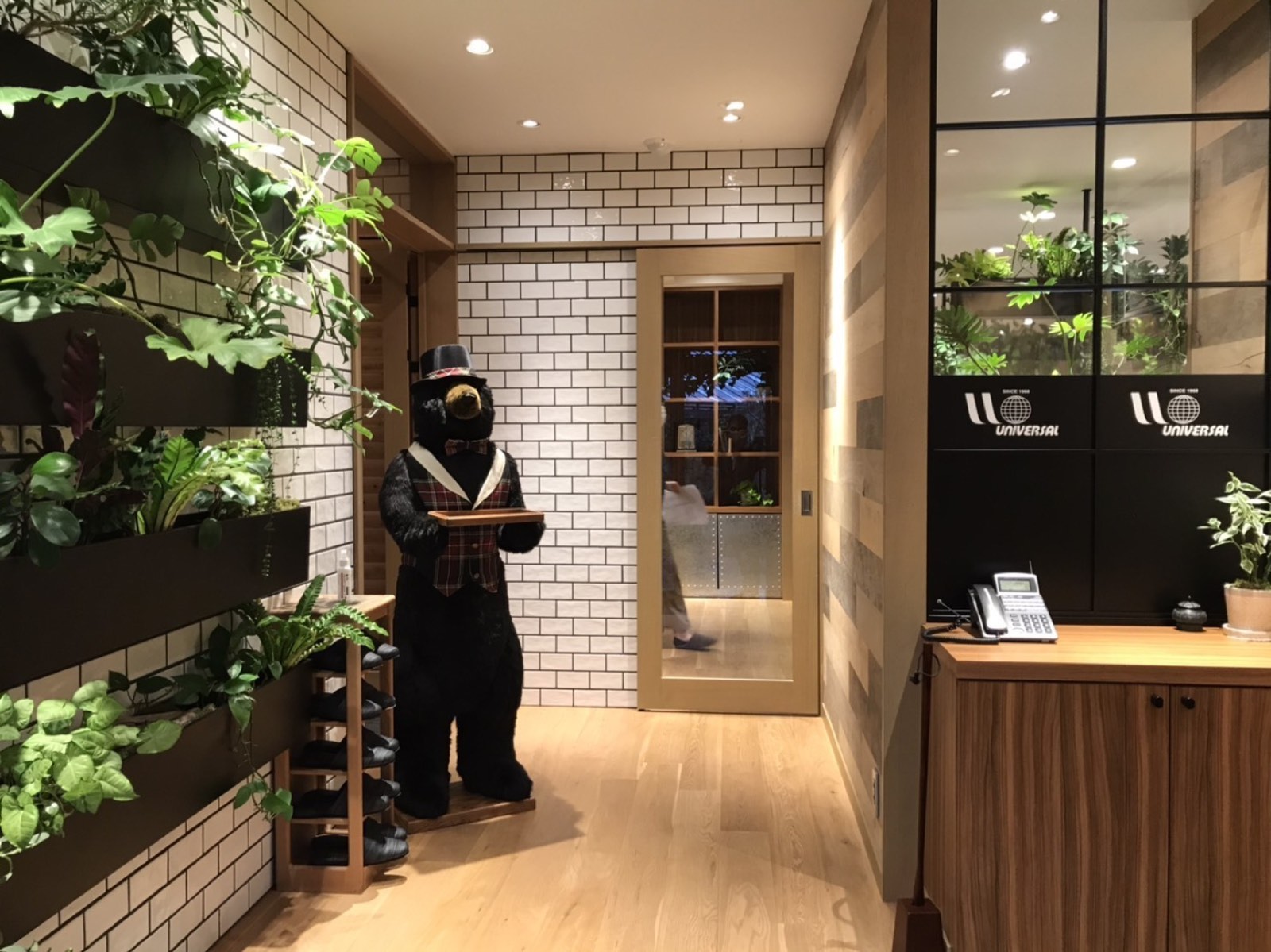 壁一面に観葉植物が並ぶオフィスのエントランスの写真