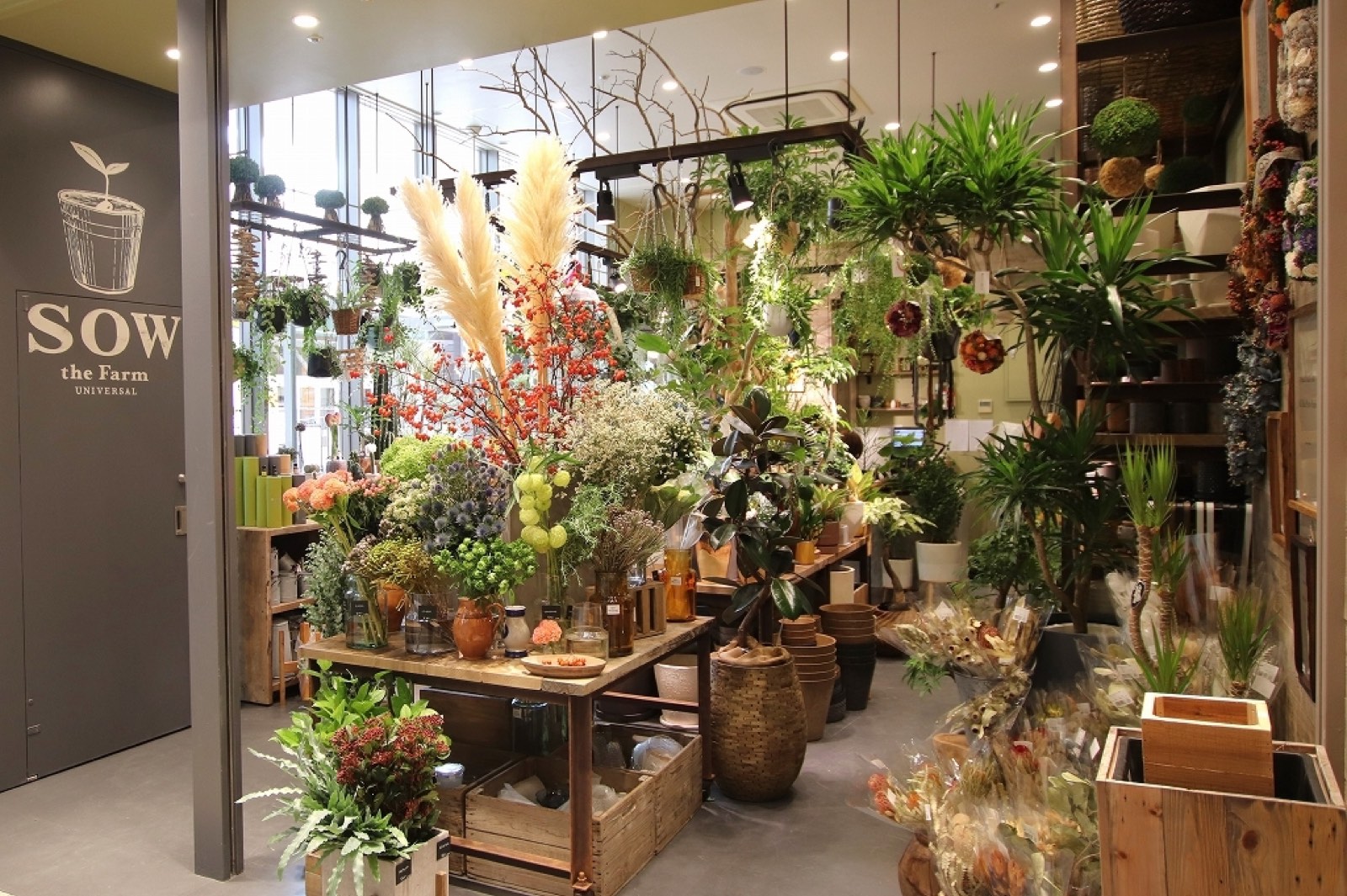 植物と雑貨が並ぶライフスタイルショップの店内の写真