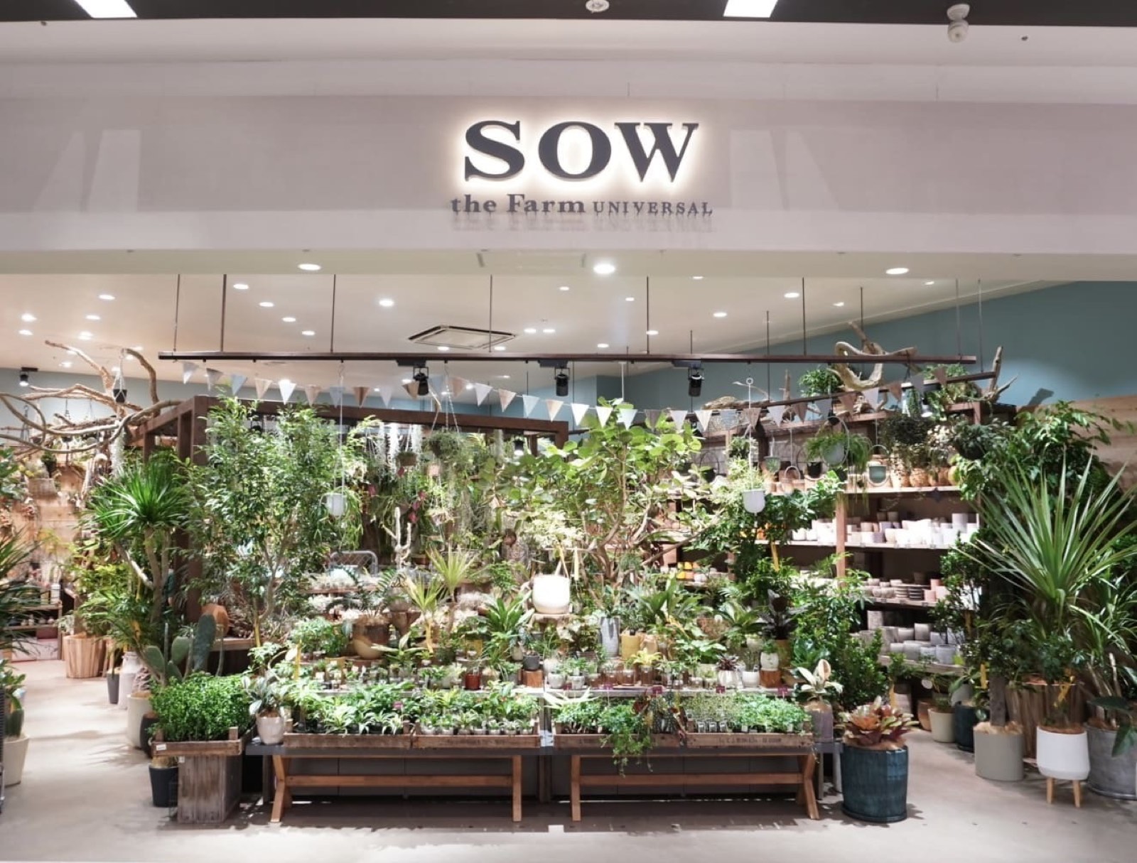 植物が一面に並ぶライフスタイルショップの店頭の写真