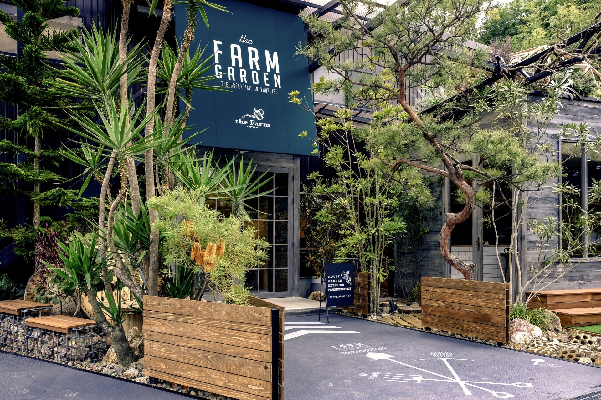 観葉植物を抱えて笑顔を見せる社員の写真